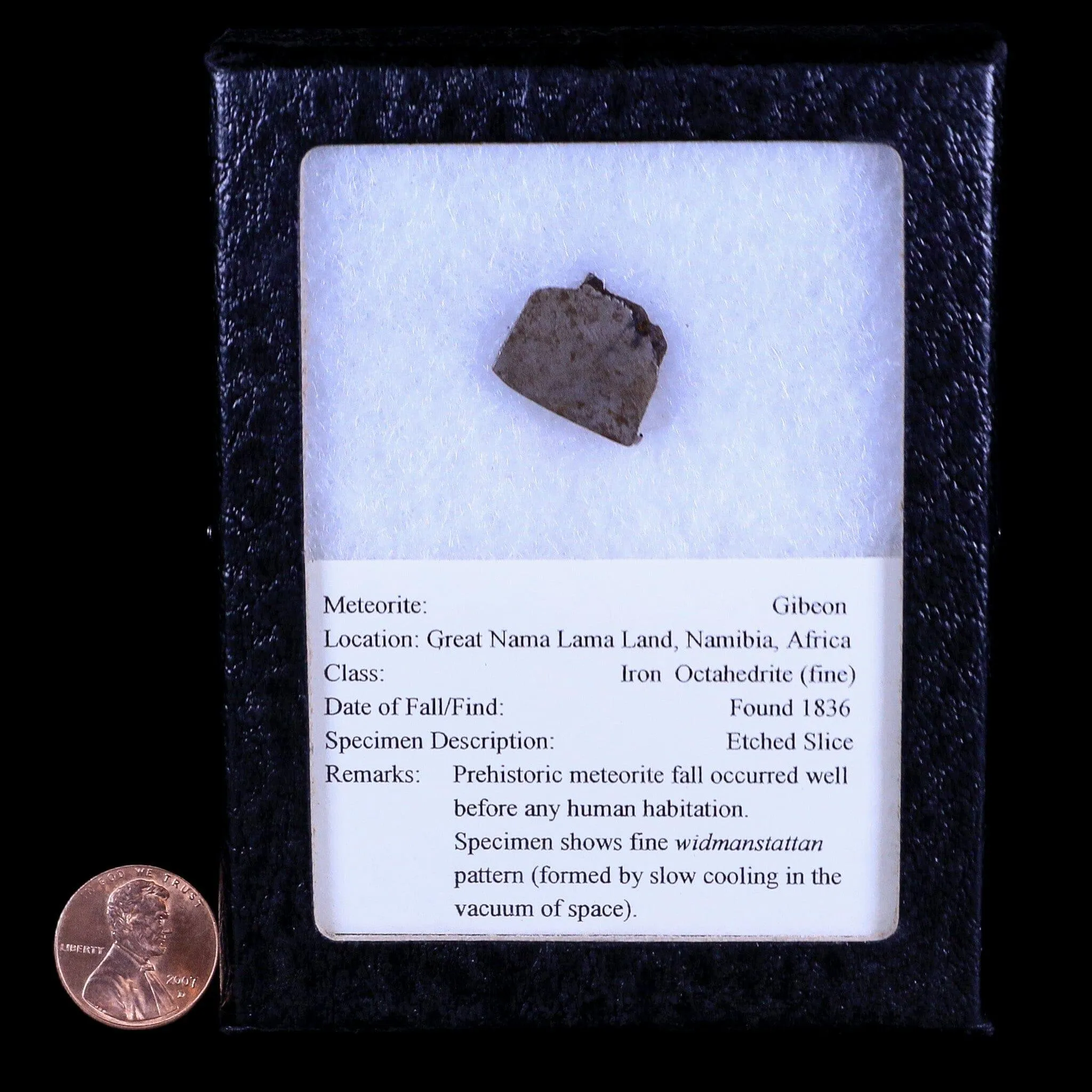 Gibeon Meteorite Specimen Riker Display Namibia Africa Meteorites 5.5 Grams