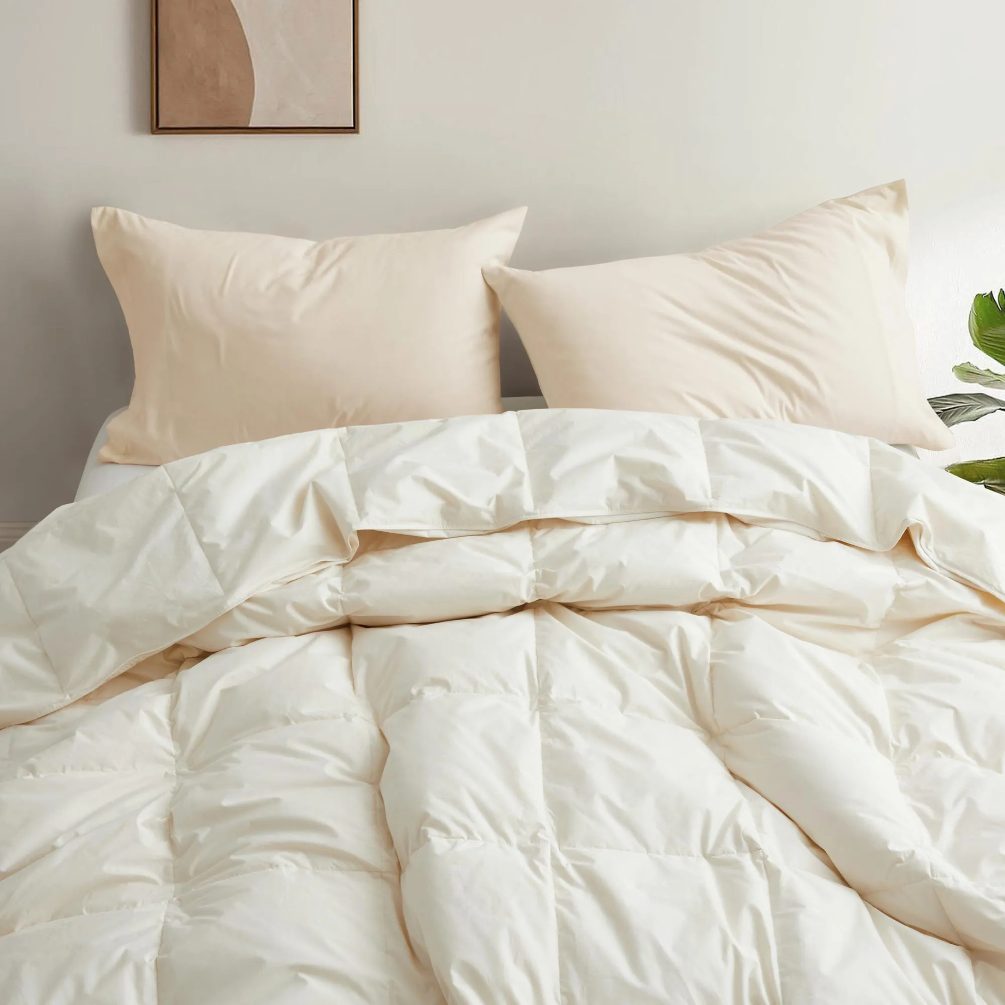 Lightweight Organic Cotton Feather Down Comforter