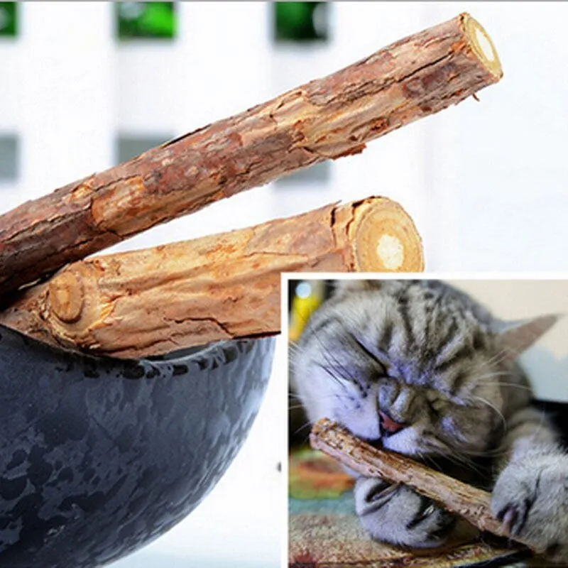 Natural Catnip Tooth Cleaning Sticks for Cats